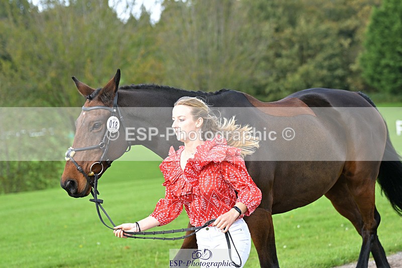 241023-132550-00285 - 018-Alice.Robinson-DERRYS.DIAMOND.CAVALIER