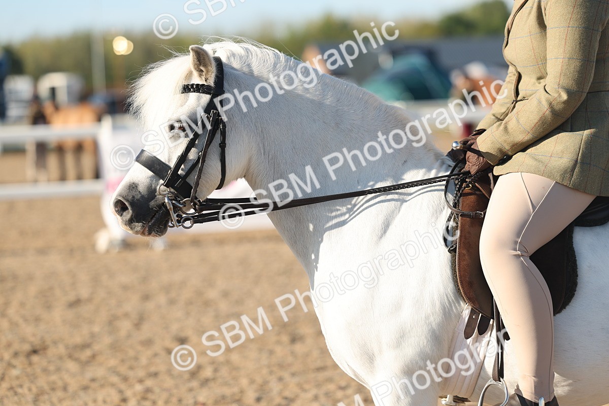 SBM_10913 - Class 301 - Ridden M&M Small Breeds