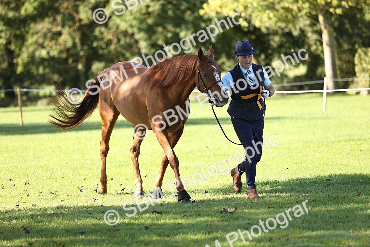 SBM_15795 - S1 - TSR in Hand Horse & Pony Showing