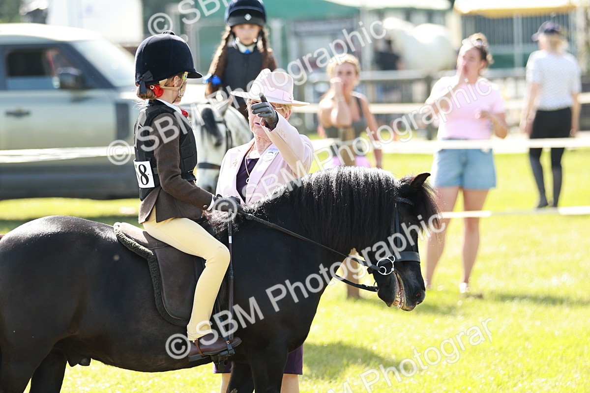 SBM_12586 - Class 106-107 - BSPS LIHS Working Sports Pony