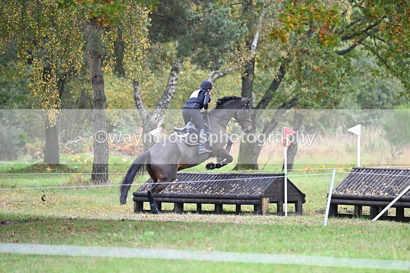 WJ6_3971 - 90cm Cam 1 Time 14:05 to 14:35