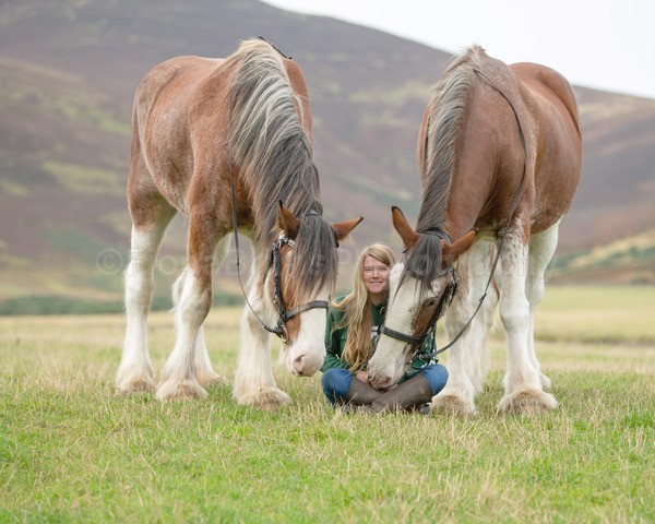 Dionne-184 - DGClydesdales