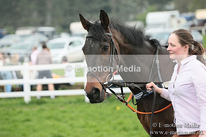 PtP 210418 153 - South & West Wilts Point-to-Point Larkhill 21/04/18