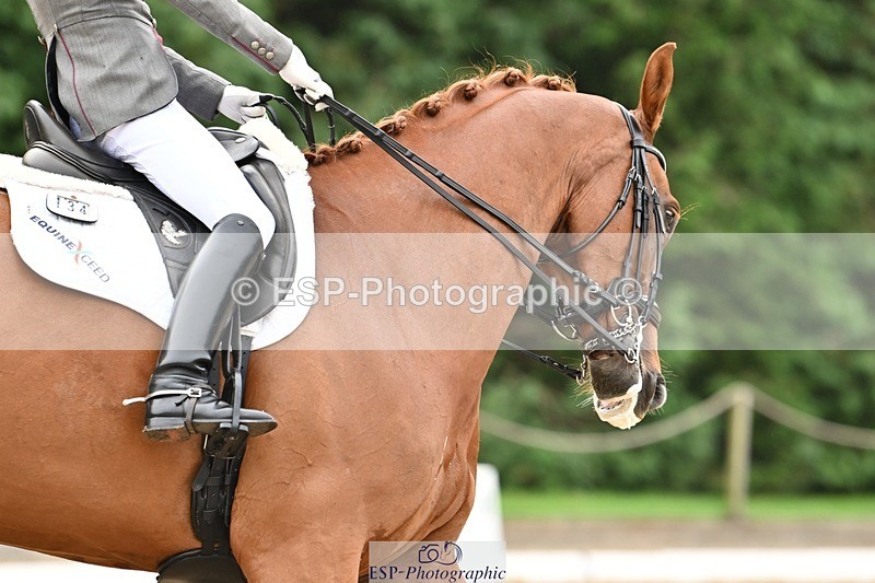 240811-101112-04693 - 134-Beth.Miller-U-gino