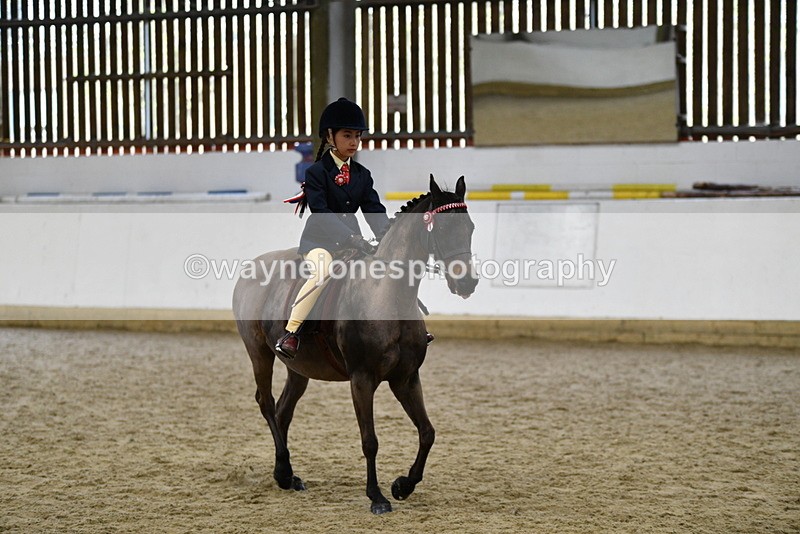 WJ5_6954 - Class 10 Childs Pony