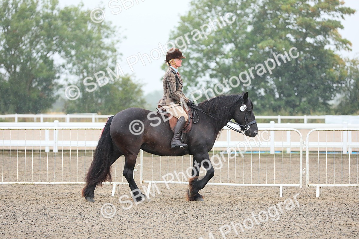 SBM_19846 - Class 801 - Ridden Veteran
