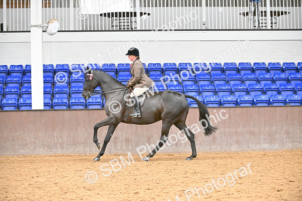 SBM_001941 - Class 25 - Tattersalls ROR Amateur Ridden