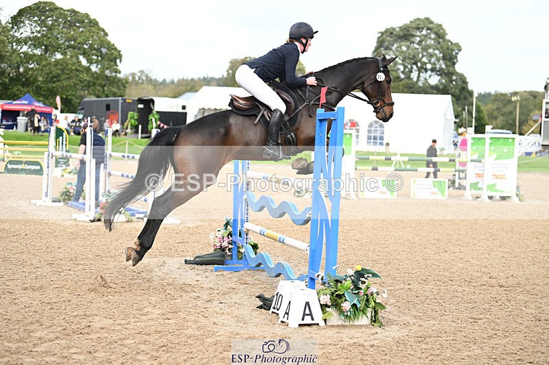 241025-121737-07520 - 205-Alderney.Street-KYTANO