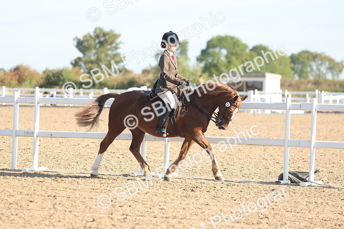 SBM_10969 - Class 302 - Ridden M&M Large Breeds