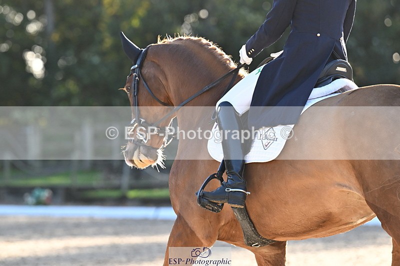 251023A-162300-06054 - B-170-Mollie.Summerland