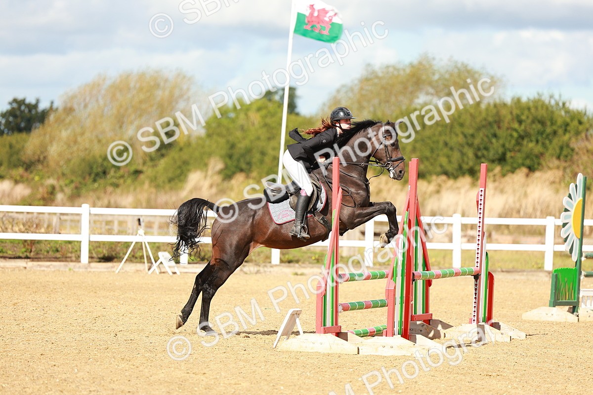 SBM_000590 - Class 2 - Senior British Novice - 90cm