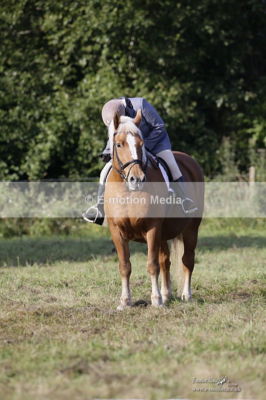 BVRC 120921 96 - Bourne Valley Riding Club UA Dressage & Show Jumping 12/09/21