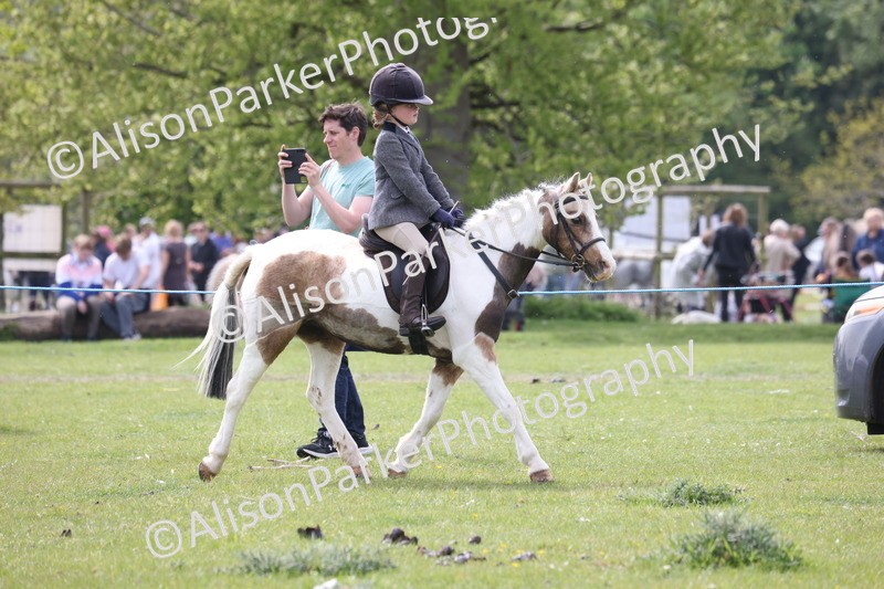 20260426-2913 - Class 33 - Best Pony 14.2hh and Under