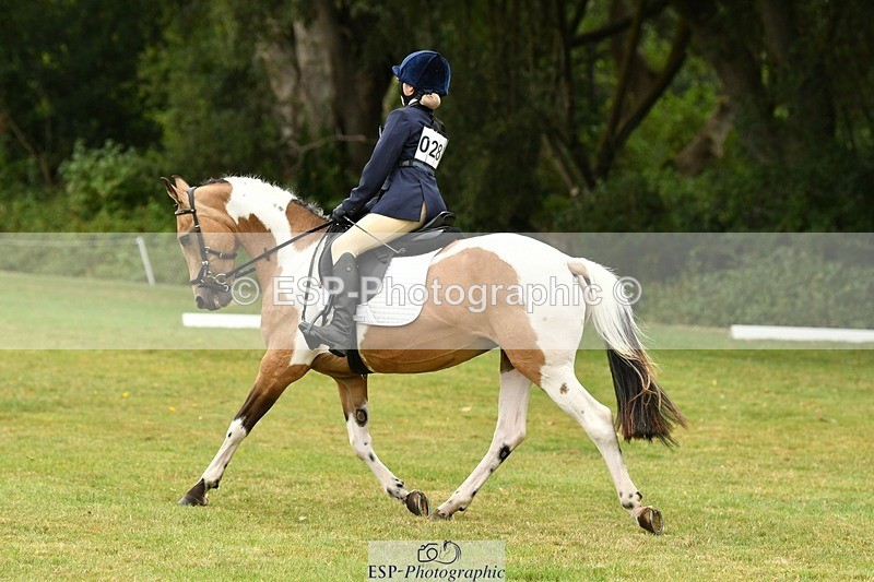 250820A-125032-05671 - 12 to 13.00