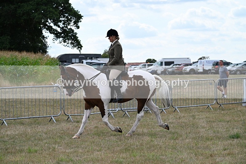 WJ7_4994 - Class 12 Ridden Cob