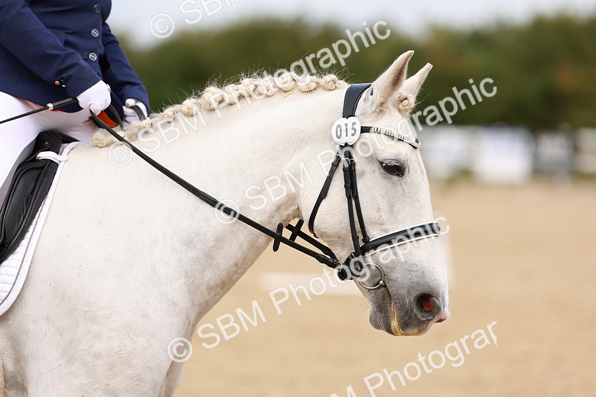 SBM_001583 - Class 4 - Prelim 3
