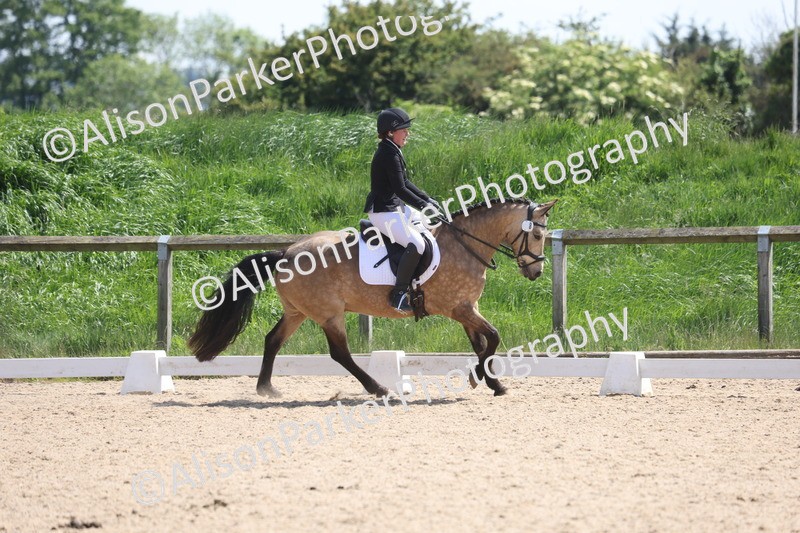 20250520-0787 - Class 5 - Novice 2