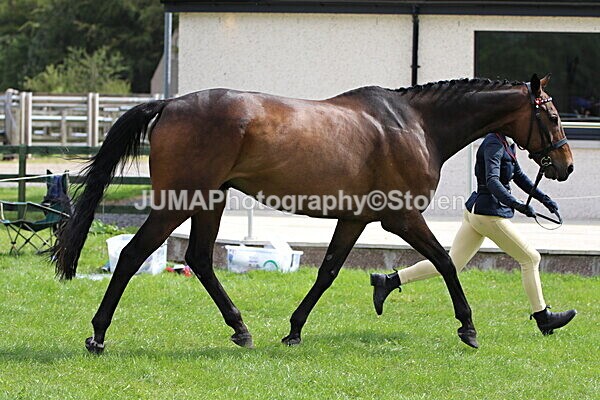 SIAL7428 - Ring 1 & 3