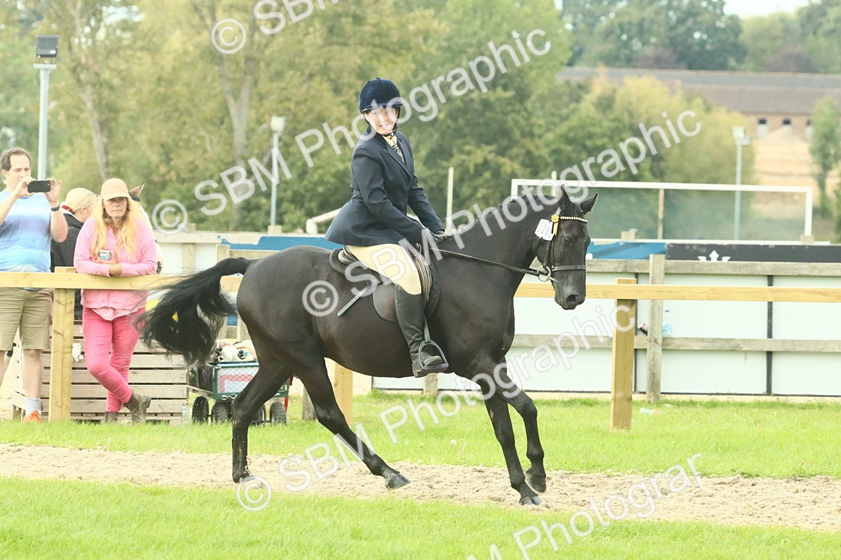 SBM_74103 - S 61 - Show Pony & Show Hunter Pony Ridden