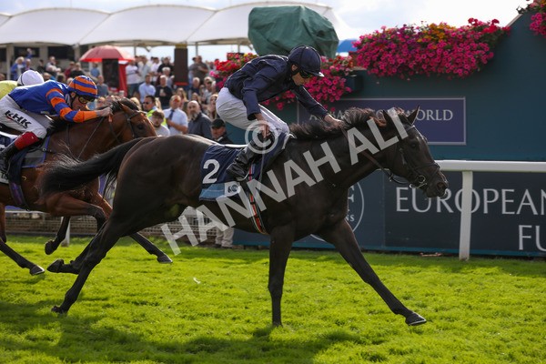 250823-Race 6-Battle Cry-5946 - Race 6 4.45pm British EBF 40th Anniversary Convivial Maiden Stakes