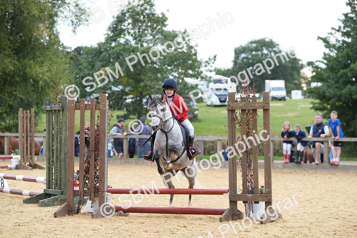 SBM_74860 - J4 - Mini Tour Junior Pony 45cm Championship