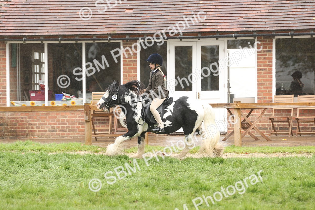 SBM_72821 - S70 - Traditional Cob Ridden