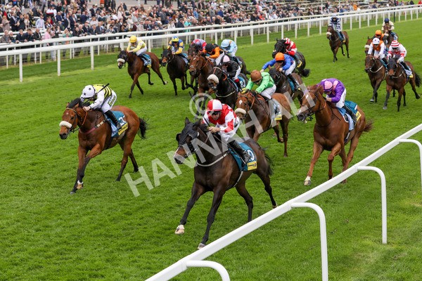 150524-Race 2-Aleezdancer-1473 - Race 2 2.45pm Churchill Tyres Handicap