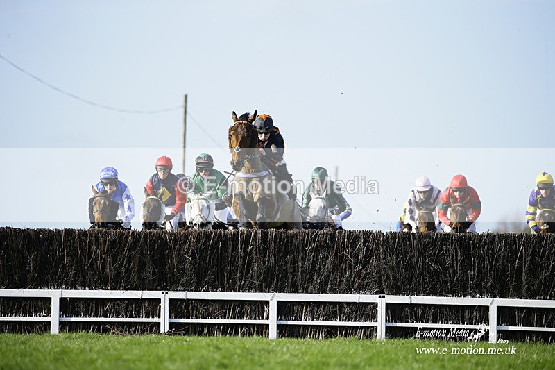PtP 300122 238 - South Dorset Hunt - Point-to-Point Races 30/01/2022