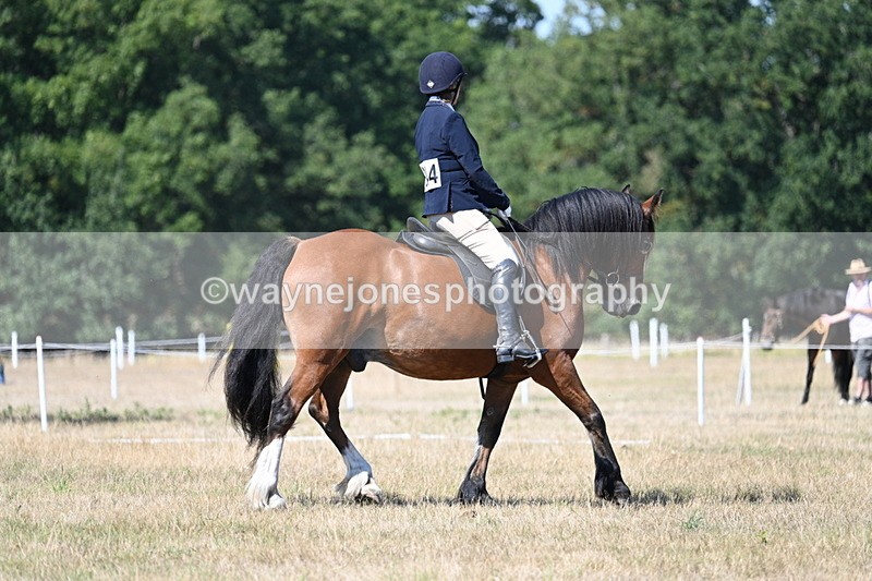 WJ7_0739 - Time 12:03 to 12:23