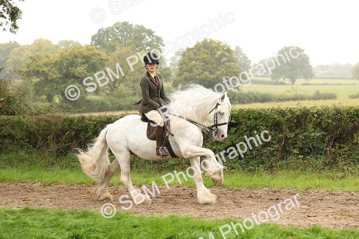 SBM_72702 - S70 - Traditional Cob Ridden
