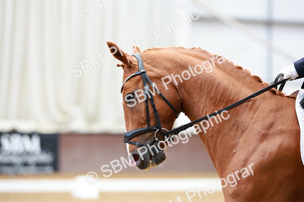 SBM_001738 - Class 12-15 - MED-ADV FSM