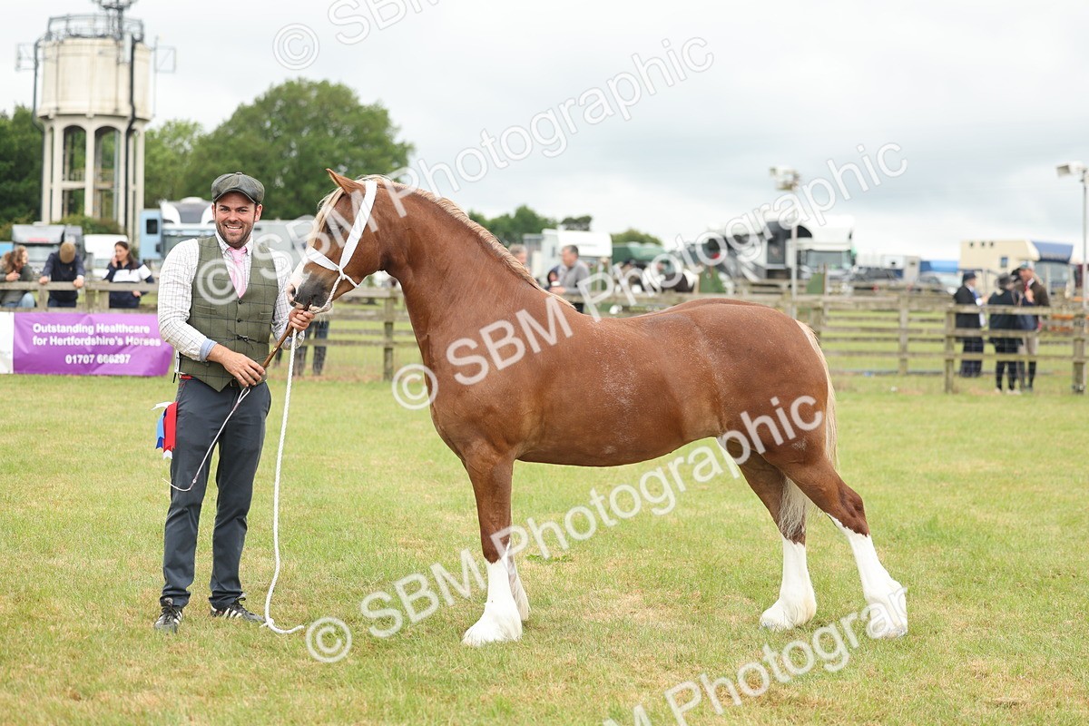 SBM_05022 - Class 50-57 - M&M Welsh Pony In Hand