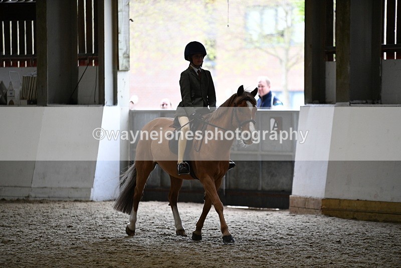 WJ5_6805 - Class 10 Childs Pony