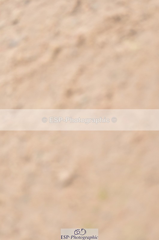 240403A-155108-01043 - Cls 5 Foxhunter and 1.20m Open