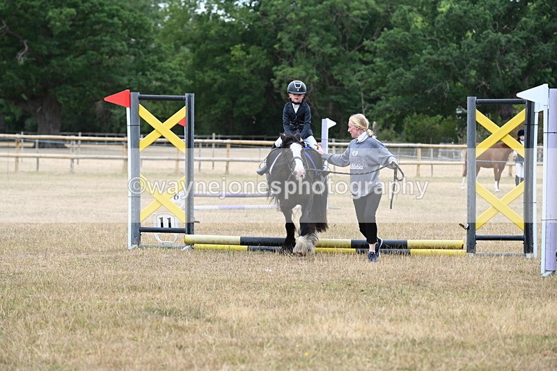 WJ6_9584 - Class 12 Minimus Jumping 45cm