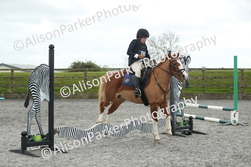 20260412-0619 - Show Jumping
