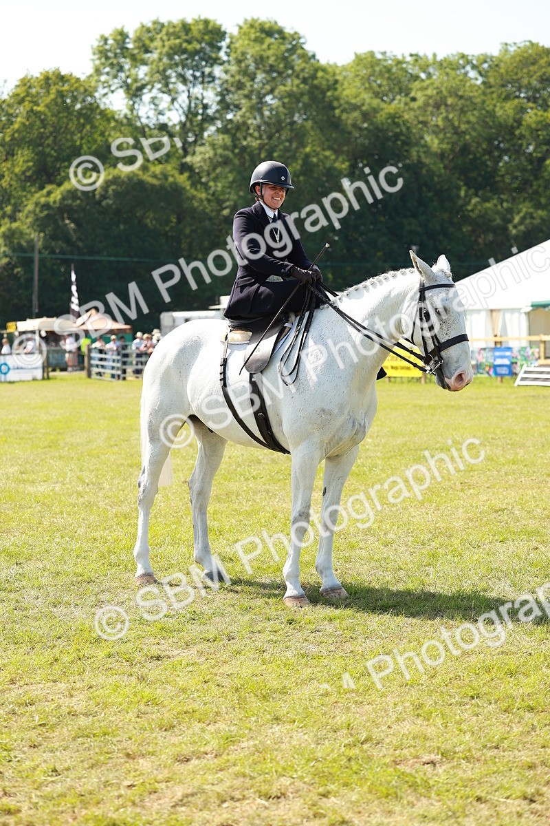 SBM_13194 - Class 70-71 - Side Saddle