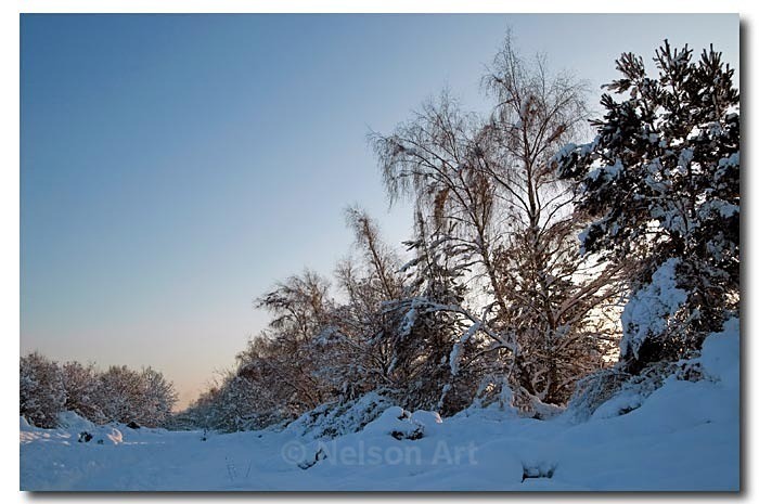 Winter Wonderland - Scapes