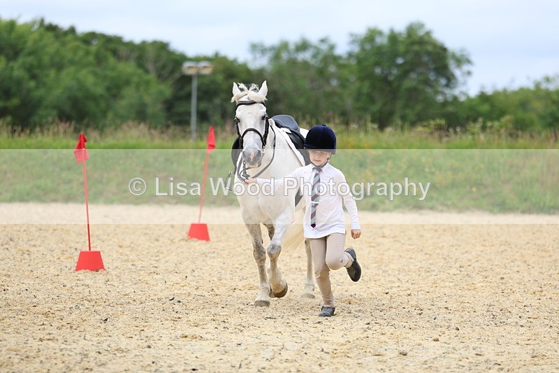 3E7A9412 - Walk trot run