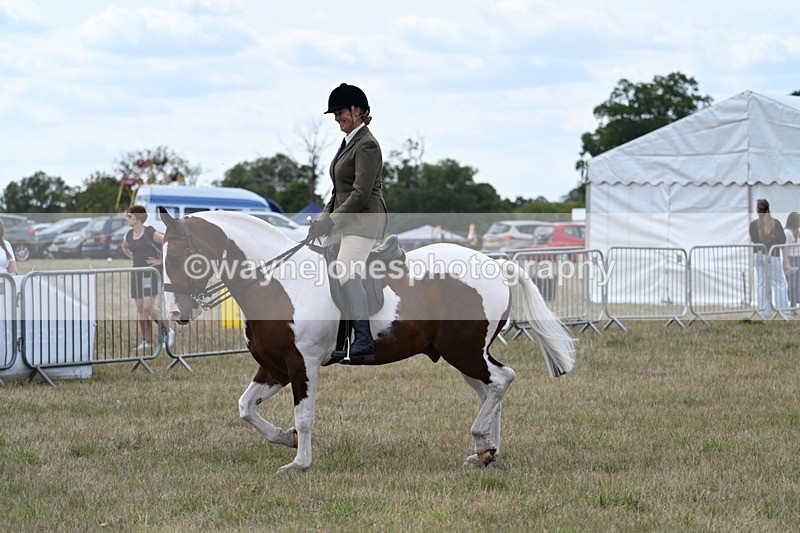 WJ7_4990 - Class 12 Ridden Cob
