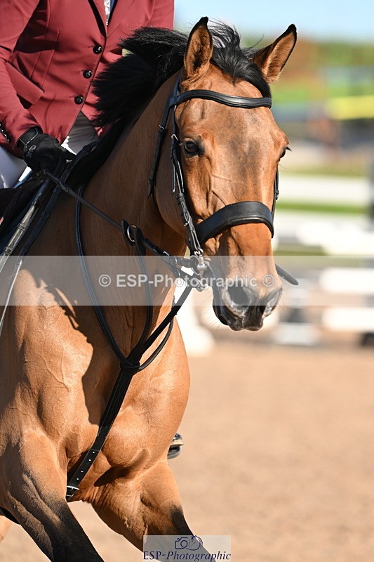 241026A-145600-01426 - SAT Cls 16-18 Children on Horses