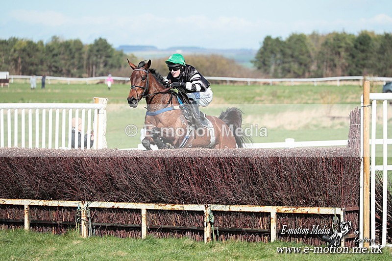 PtP 230324 540 - Tedworth Hunt PtP Larkhill Raccourse 23rd March 2024