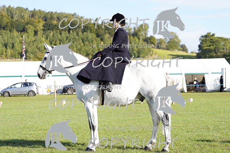 _DSC9462 - Class 8 & 17 Ridden Hunter & Ridden Hunter Pony