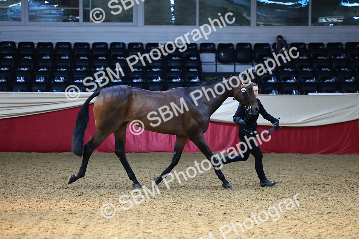 SBM_22323 - Class 902 - Supreme Final - IH Diamond