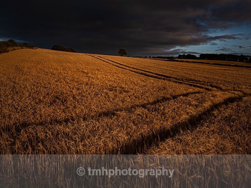 Fading Light. - Landscape