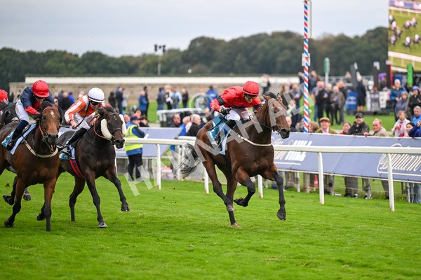 101025-Race 6-Dan Tucker-7075 - Race 6 Copper Knight Winning-Most Horse Handicap at York