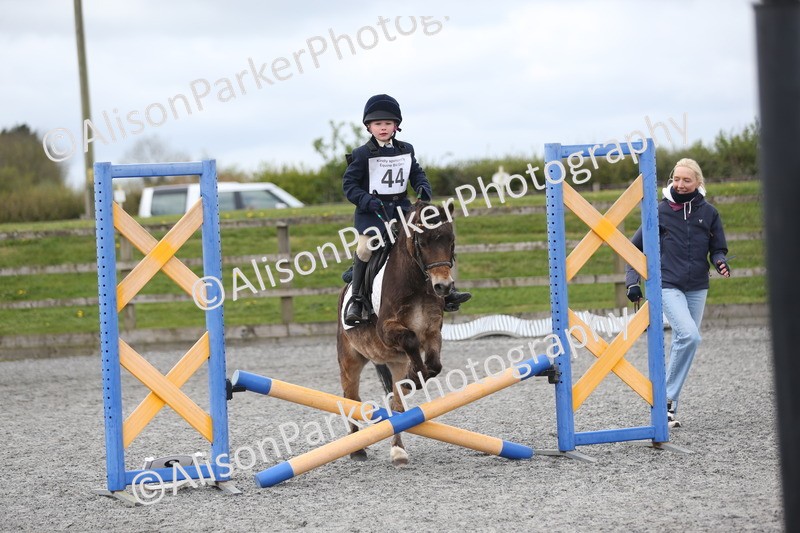 20260412-0561 - Show Jumping