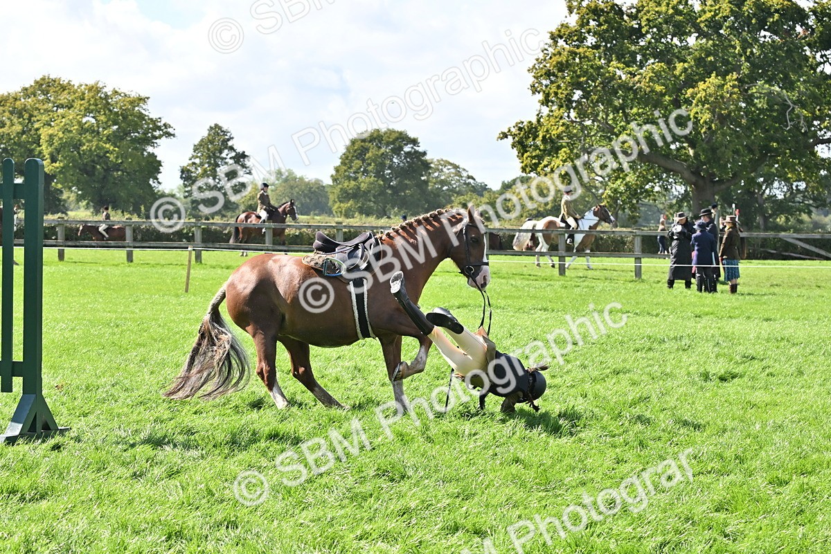 SBM_44540 - S13 - Pony Club Pony