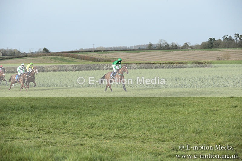 PtP 230319 459 - VWH Hunt Siddington Point-to-Point Racing 23/03/19