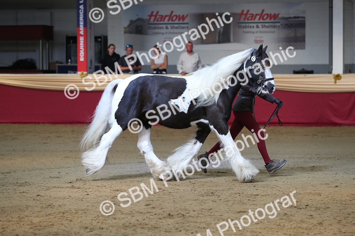 SBM_01358